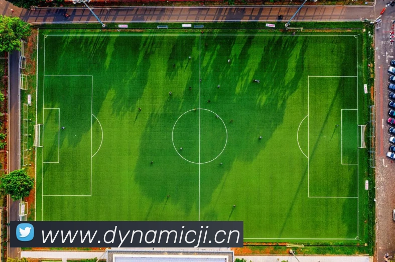 博鱼首页官网APP 高清赛事图